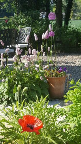 Bed & Breakfast Lowther House