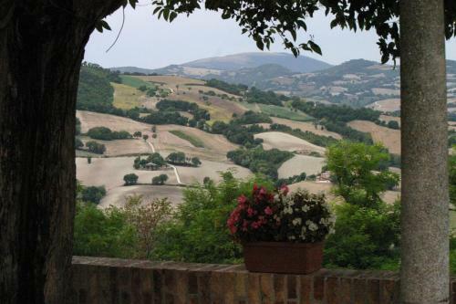 Casa Vacanza La Torcia