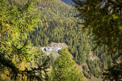 Hotel Gasthof Sch�nau