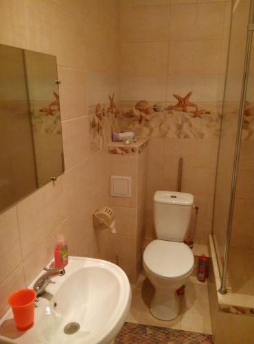 Want This!new Premium Apartment Near Center