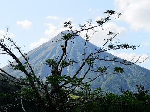 T�o Felix Eco Lodge
