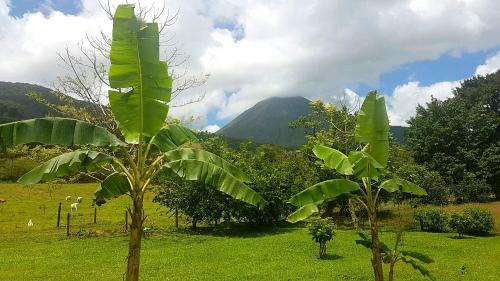 T�o Felix Eco Lodge