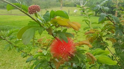 T�o Felix Eco Lodge