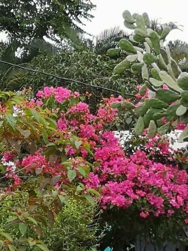 T�o Felix Eco Lodge