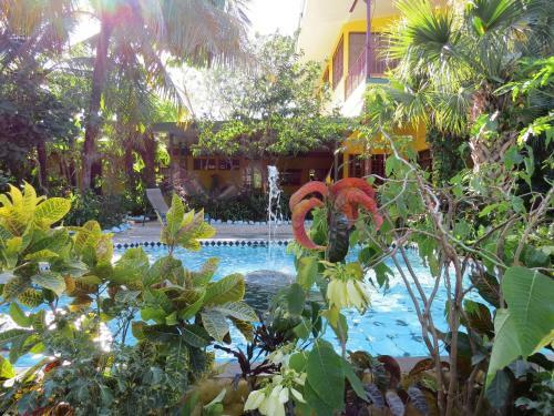 El Mono Loco Hotel