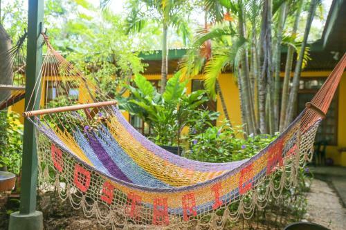 El Mono Loco Hotel