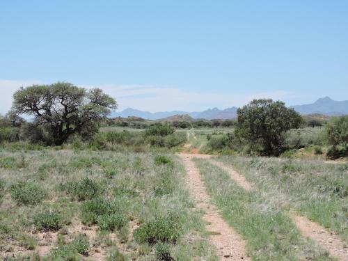 Agroturismo Savanna Guest Farm