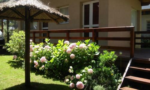 Apartamento Casas Aluen