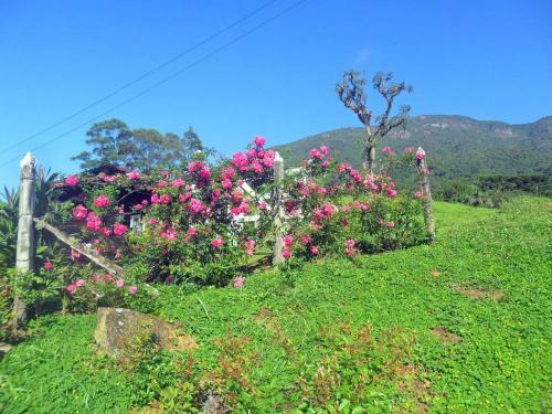 Fazenda Monte Verde A Morada Do Muriqui