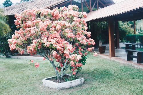 Posada Pousada Minha Gl�ria
