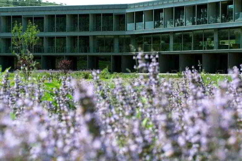 Hotel M�n Sant Benet