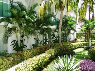 Hotel Los Cocos