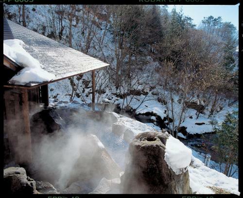 Tateshina Onsen Hotel Shinyu