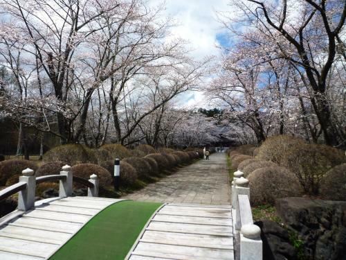Tateshina Onsen Hotel Shinyu