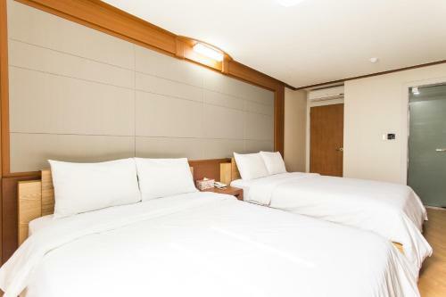 Hotel Incheon Airtel