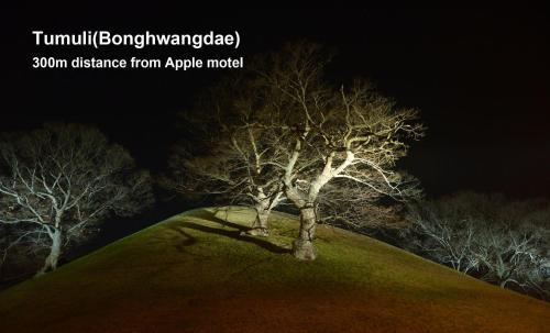 Apple Motel