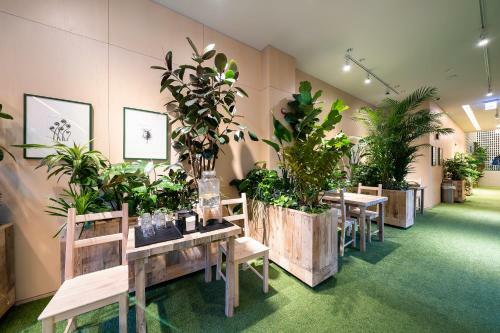 Boree Hotel Gangnam