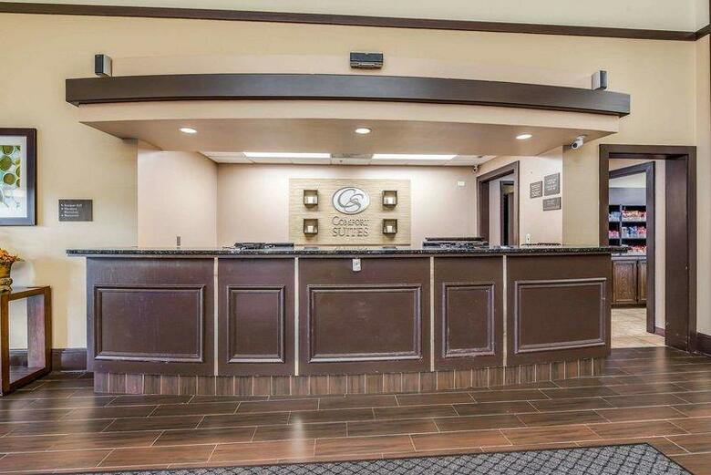Hotel Comfort Suites O`hare Airport