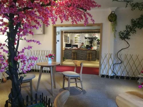 Dragon King Hostel