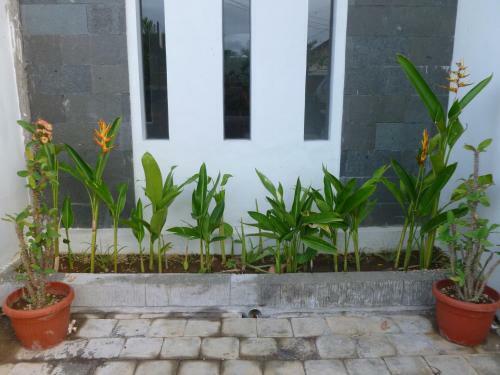 Hostal Griya Widhi Guest House