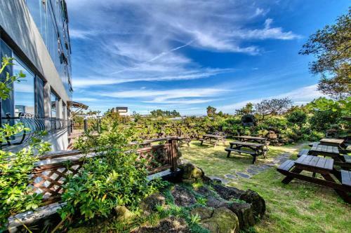 Hotel Olleyo Resort