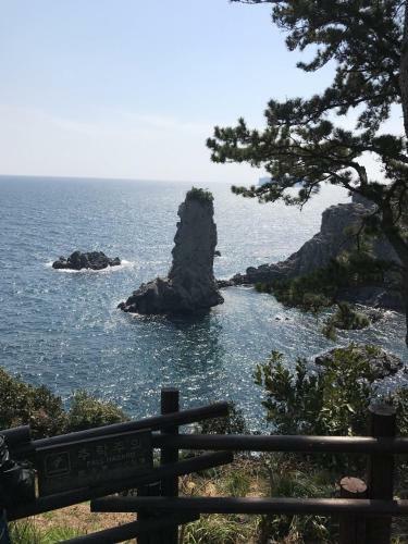 Dreaming Forest Seogwipo