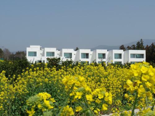 Hotel Laotzu Resort