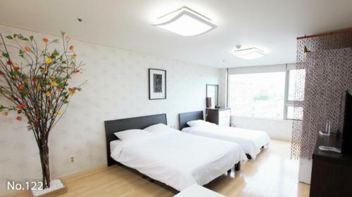 Aparthotel Aplex Korea
