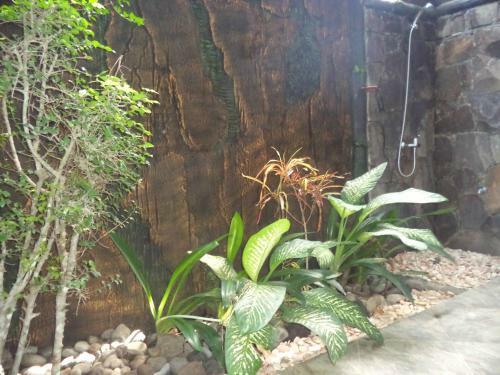Hostal La Bangkat Homestay