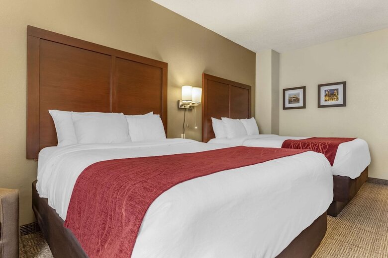 Hotel Comfort Inn & Suites (streetsboro)