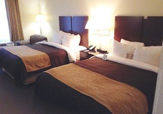 Hotel Comfort Inn & Suites Ft.jackson Maingate