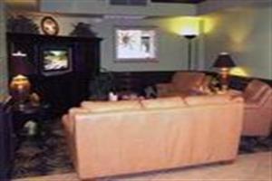 Hotel Quality Inn And Suites
