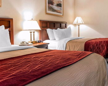 Hotel Comfort Inn (livonia)