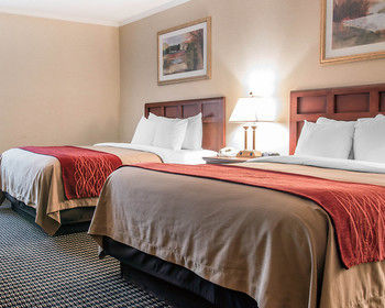 Hotel Comfort Inn (livonia)