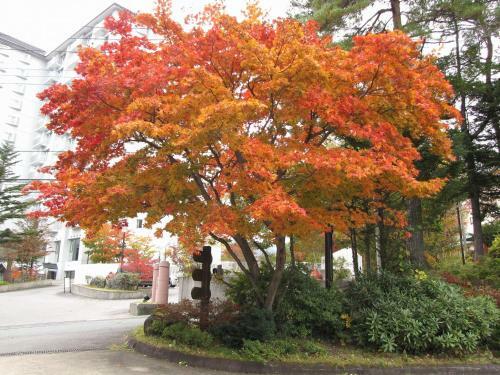 Kusatsu Kogen Youth Hostel