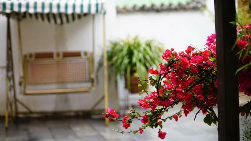 Posada Tuo Tuo Guest House