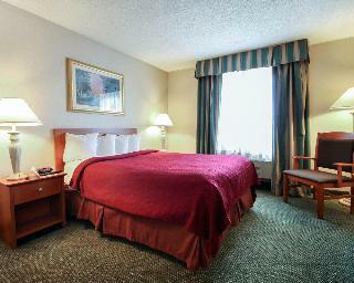 Hotel Comfort Inn Airport East