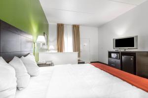 Hotel Quality Inn