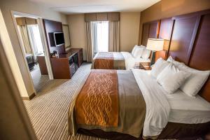Hotel Comfort Inn At The Park
