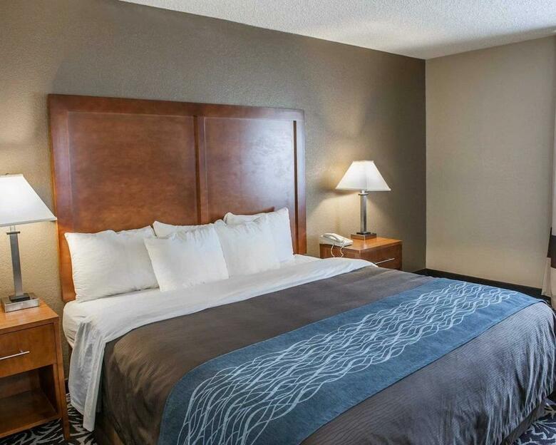 Hotel Comfort Inn South