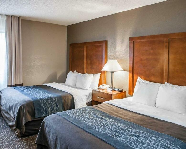 Hotel Comfort Inn South