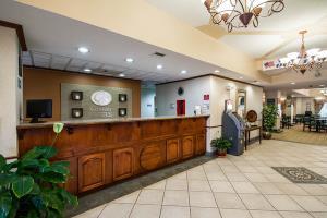 Hotel Comfort Suites Airport