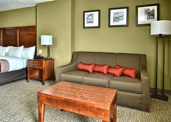 Hotel Comfort Inn (arkadelphia)