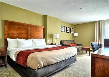 Hotel Comfort Inn (arkadelphia)