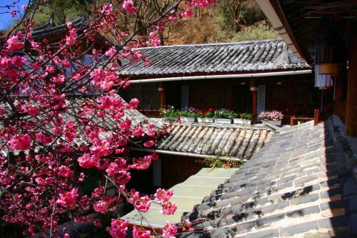 Lao Shay Youth Hostel Lijiang