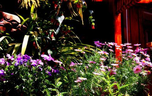 Lao Shay Youth Hostel Lijiang
