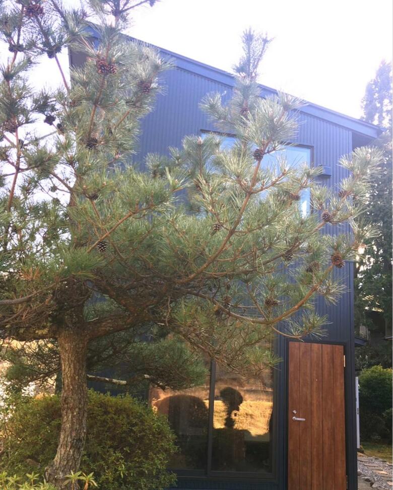Hostal Stay Nikko Guesthouse
