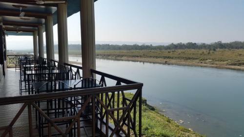 Lodge Jungle Wildlife Camp
