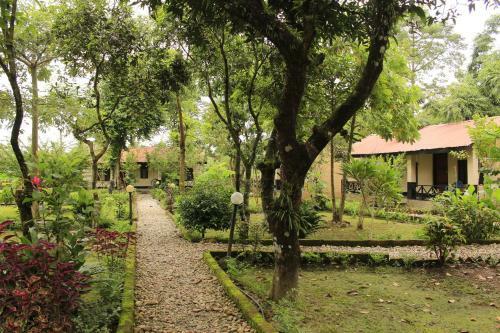 Hotel Chitwan Safari Camp & Lodge