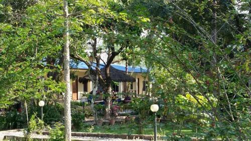 Hotel Chitwan Safari Camp & Lodge